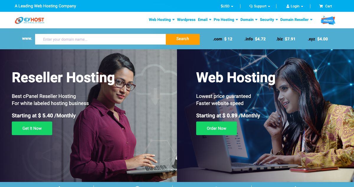 Homepage of EyHost Ltd. hosting