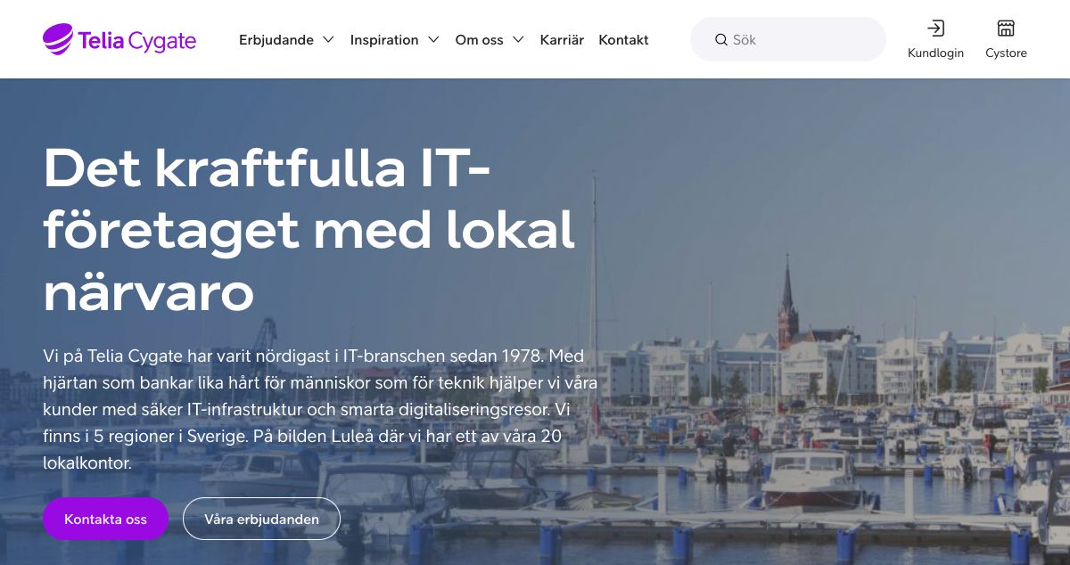 Homepage of iPeer.se hosting