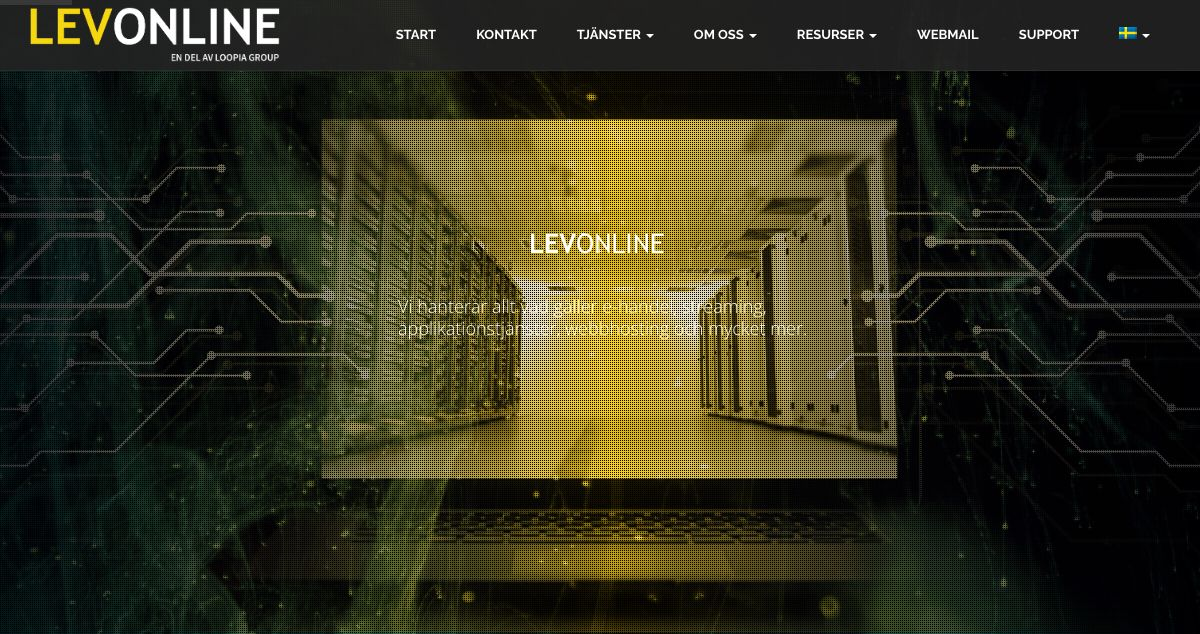 Homepage of Levonline hosting