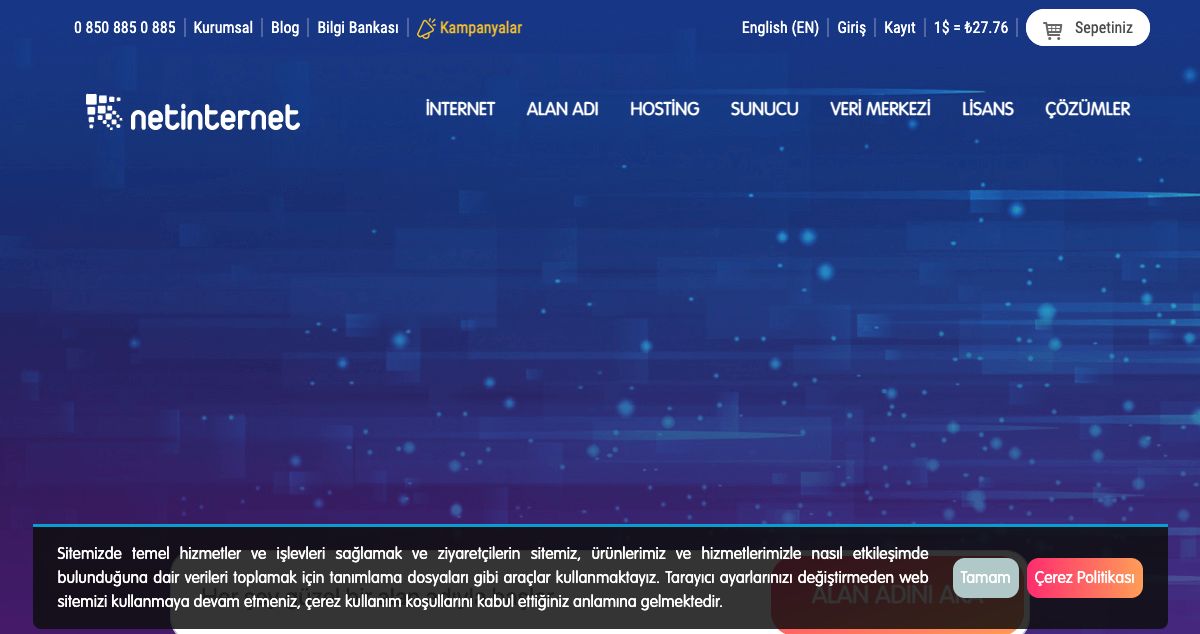 Homepage of Netinternet hosting