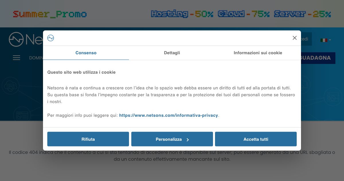 Homepage of Netsons hosting