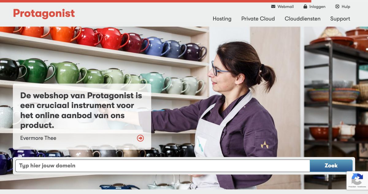 Homepage of Protagonist hosting