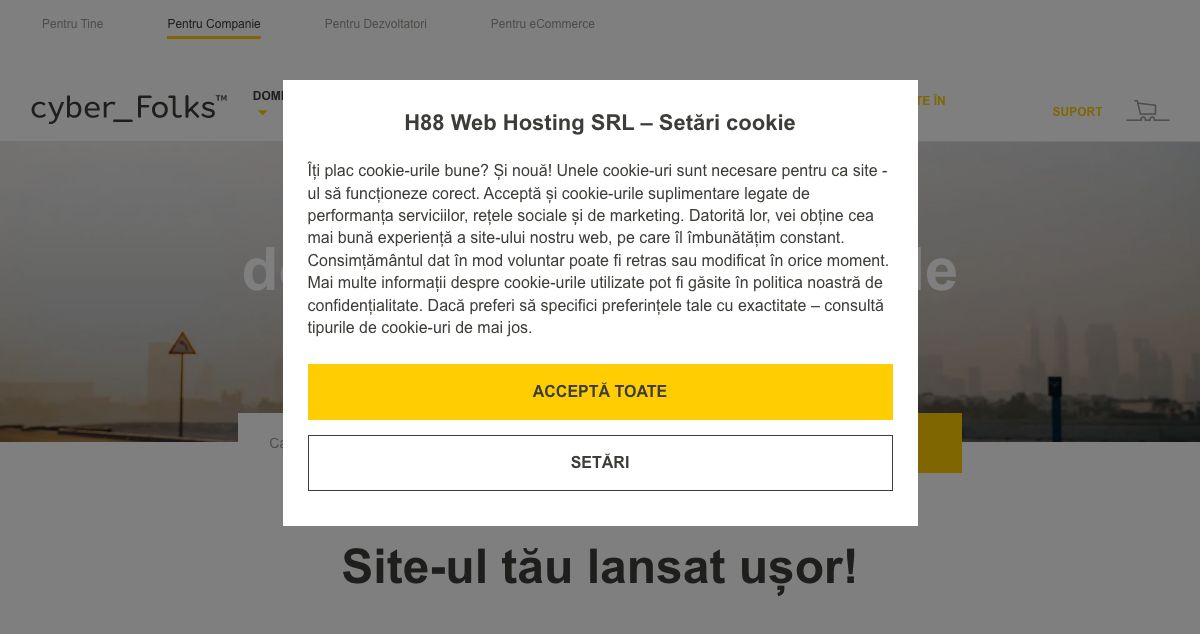 Homepage of Top Level Hosting hosting