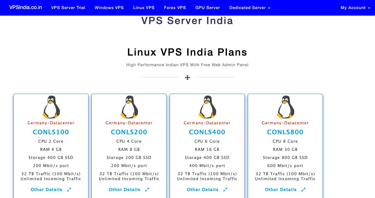 Homepage of VPSIndia.Co.In hosting